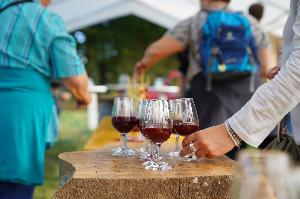 Kulinarische Weinwanderung auf dem Weinerlebnispfad in Bad Krozingen